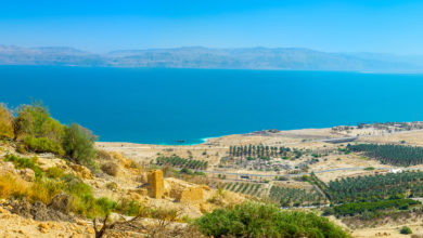 חוף ים המלח מלא בחוות התמרים של הקיבוצים, עם קיבוץ עין גדי מרחוק