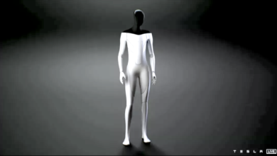 הבוט החדש של טסלה