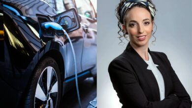 עידית סילמן, השרה להגנת הסביבה