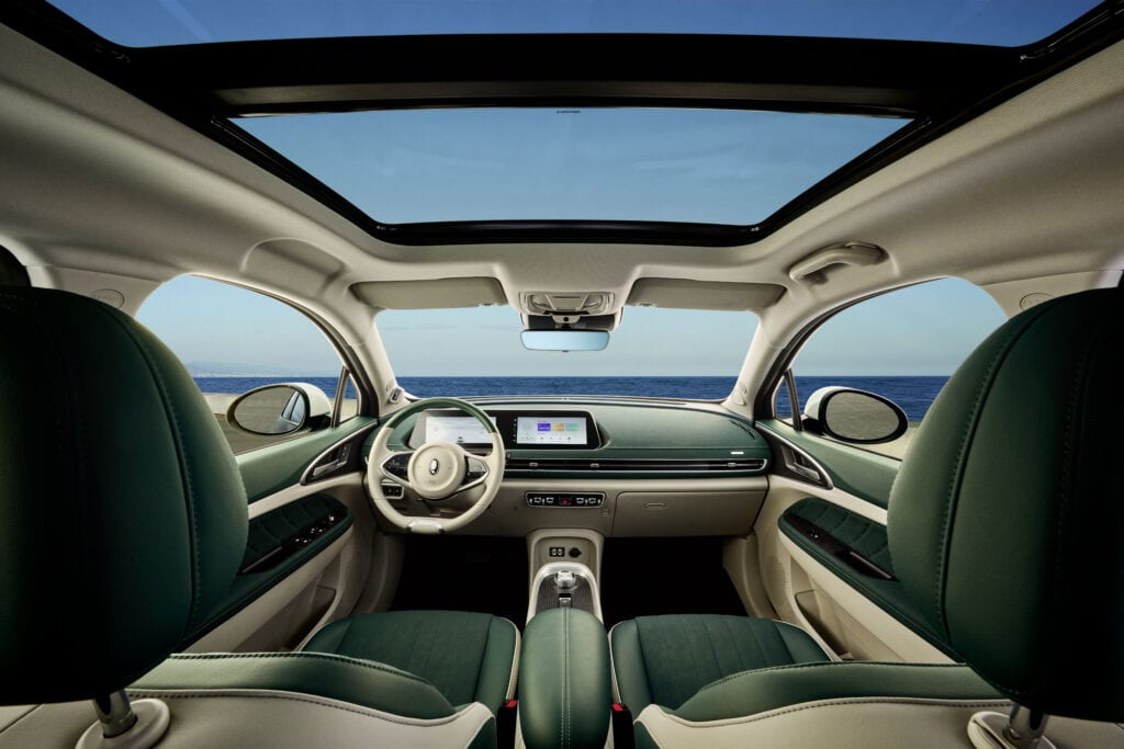 פנים הרכב של האורה פאנקי קאט