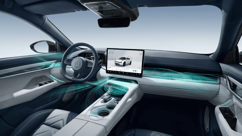 קדמת הרכב וסביבת הנהג בזיקר 001