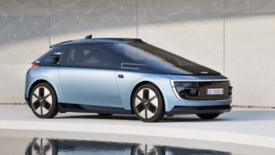 מבט חיצוני על וורנה, הרובוטקסי של רימאק