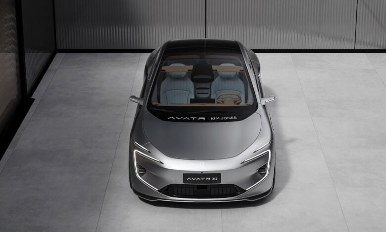 אוואטר 012 מעוצבת