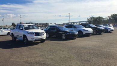 דגמים חשמליים ראשונים של DAYUN בישראל