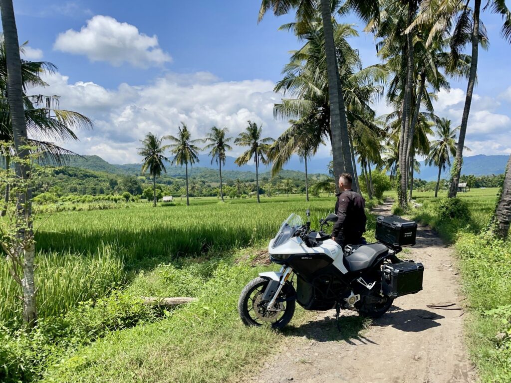 רומן נדיילקה באינדונזיה