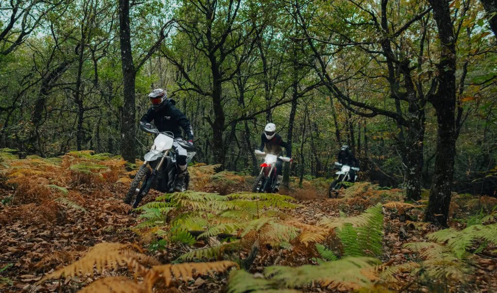 שלושה רוכבי אופנוע רוכבים על סטארק וורג EX בשטח