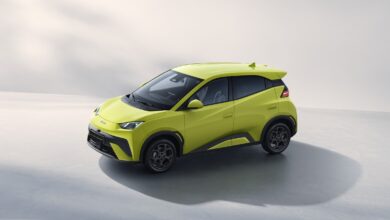 מבט צד על BYD דולפין Surf