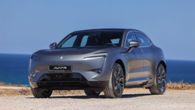 אווטאר 11 מבט חיצוני על הדגם בחוף הים